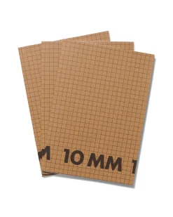 schriften A4 geruit 10 mm - 3 stuks