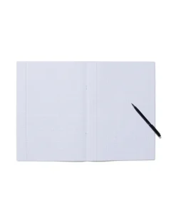 schriften A4 geruit 10 mm - 3 stuks