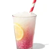 slush watermeloen