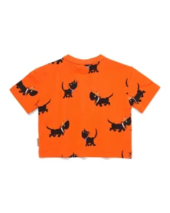 Takkie en Siepie baby T-shirt jersey Koningsdag oranje