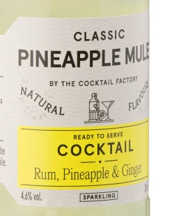 The Cocktail Factory Pineapple Ginger 200ml