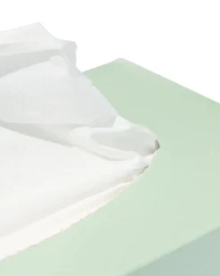 tissues 2-laags - 200 stuks