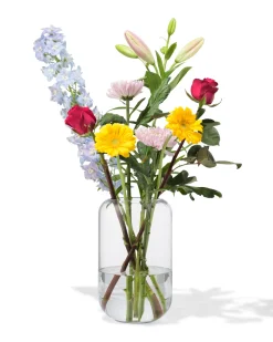 vaas 24cm glas