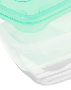 vershoudbakjes 300ml - 4 stuks
