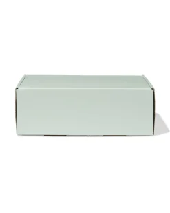 verzenddozen 24x17x8cm karton lichtgroen - 3 stuks