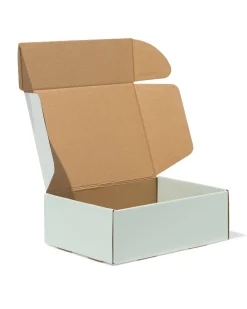 verzenddozen 24x17x8cm karton lichtgroen - 3 stuks