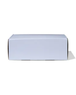 verzenddozen 30.5x21.5x11cm karton lichtblauw - 3 stuks
