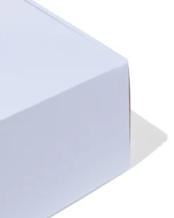 verzenddozen 30.5x21.5x11cm karton lichtblauw - 3 stuks