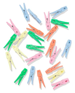 wasknijpers gerecycled plastic - 24 stuks